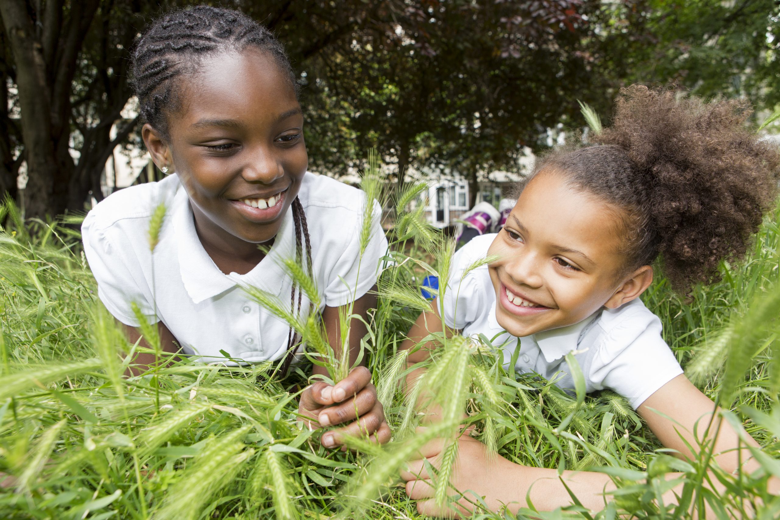 Key Stage 2 (KS2) - TGC | The Garden Classroom